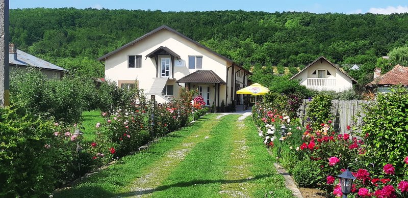 Caminul de batrani Casa Bunicilor - Dambovita